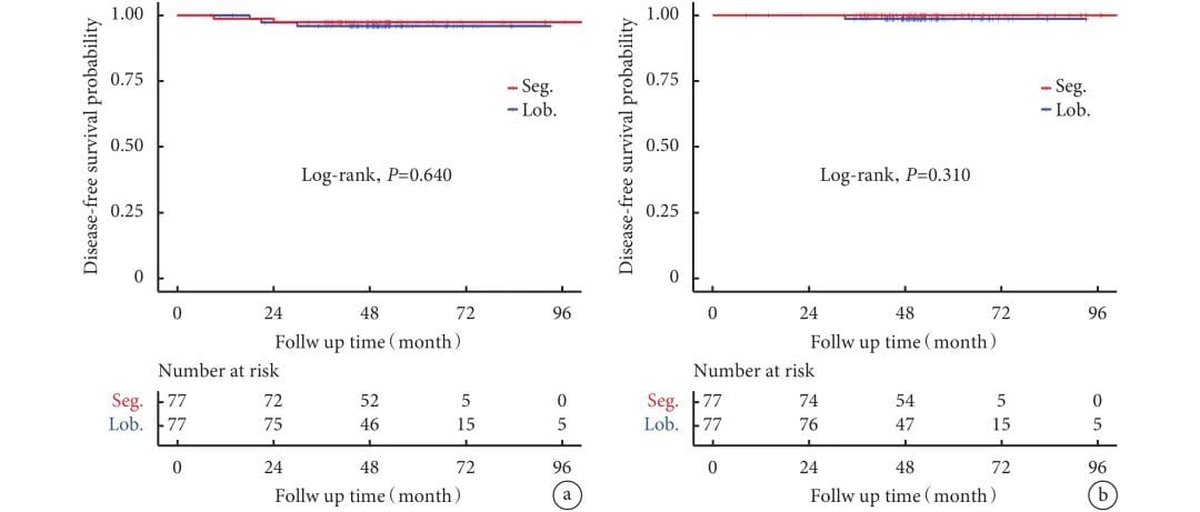 早期肺癌手术新突破:3D肺段切除术疗效媲美传统肺叶切除 3 图片