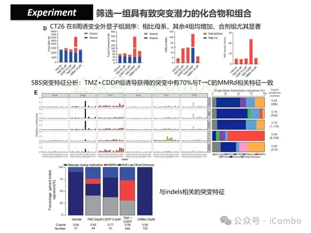 结直肠癌免疫治疗新策略:替莫唑胺与顺铂联用,唤醒抗癌免疫力 14 图片