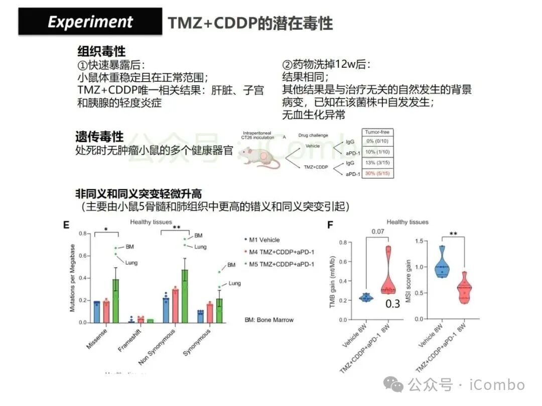 结直肠癌免疫治疗新策略:替莫唑胺与顺铂联用,唤醒抗癌免疫力 31 图片