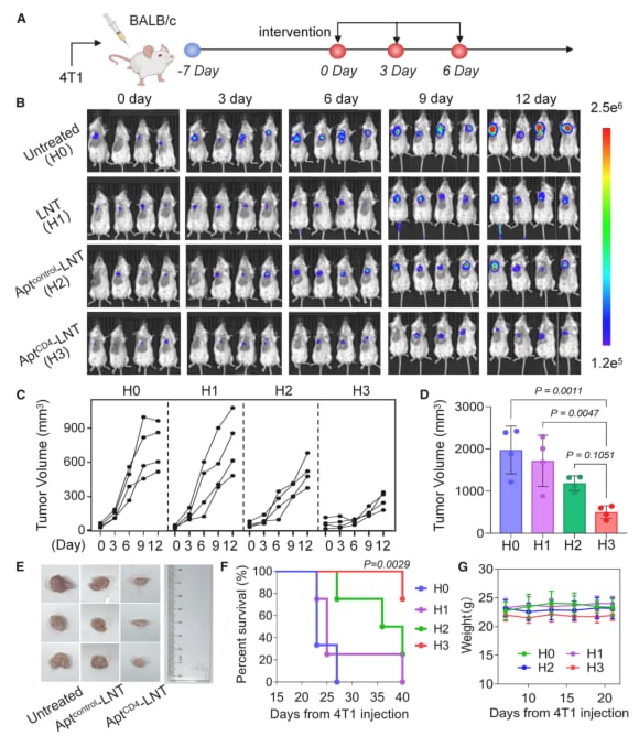三阴性乳腺癌免疫治疗新希望:新型细胞平台激活CD4+ T细胞,强效抗癌! 4 AptCD4-LNTs平台抑制肿瘤生长实验结果
