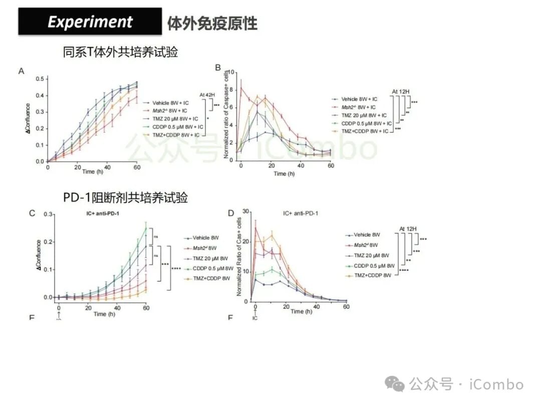 结直肠癌免疫治疗新策略:替莫唑胺与顺铂联用,唤醒抗癌免疫力 21 图片