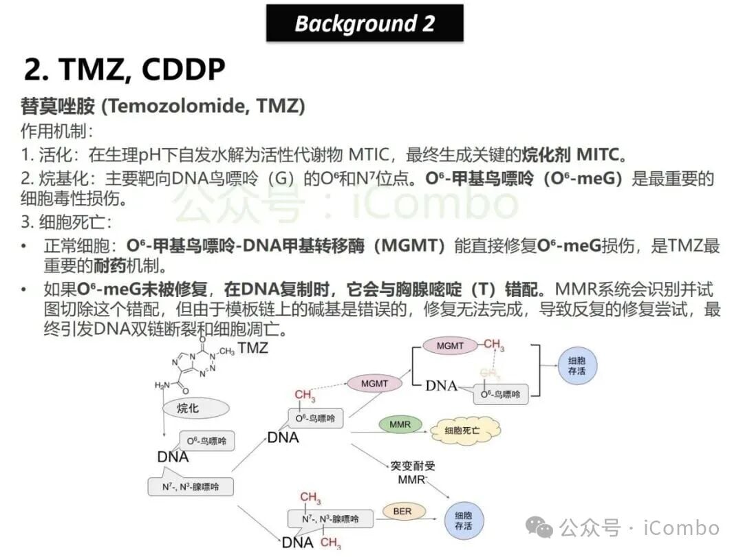 结直肠癌免疫治疗新策略:替莫唑胺与顺铂联用,唤醒抗癌免疫力 7 图片