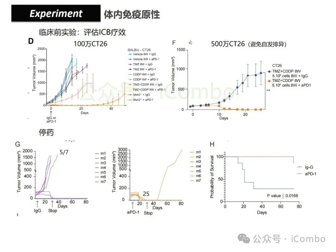 结直肠癌免疫治疗新策略:替莫唑胺与顺铂联用,唤醒抗癌免疫力 23 图片