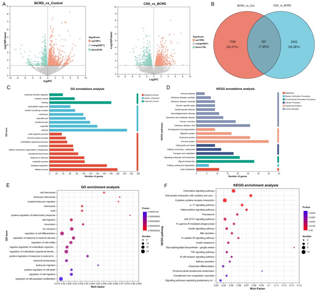 柴胡疏肝散新突破:不仅缓解抑郁,还能抑制乳腺癌?研究揭示双重作用机制 3 图片