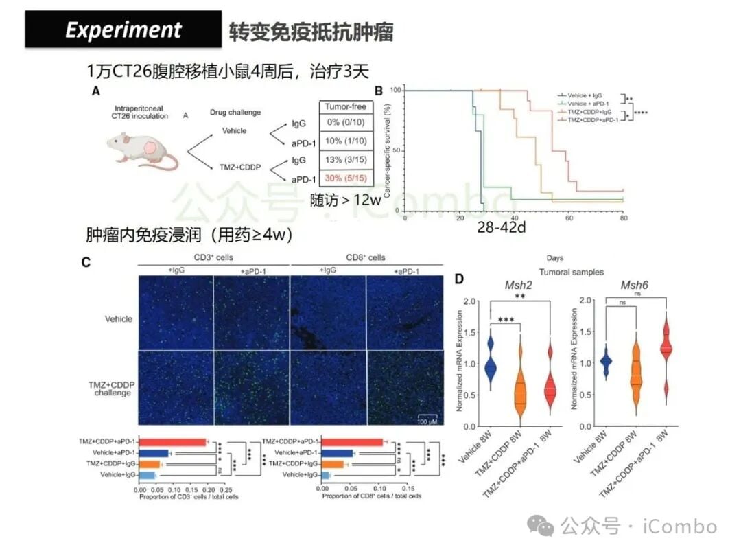 结直肠癌免疫治疗新策略:替莫唑胺与顺铂联用,唤醒抗癌免疫力 29 图片