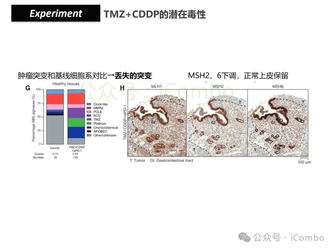 结直肠癌免疫治疗新策略:替莫唑胺与顺铂联用,唤醒抗癌免疫力 32 图片