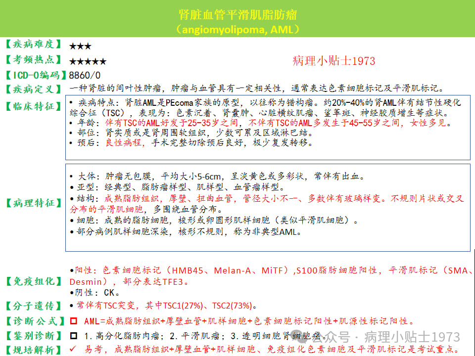肾脏血管平滑肌脂肪瘤(AML)是什么?一文详解其症状、诊断与TSC基因突变 9 图片