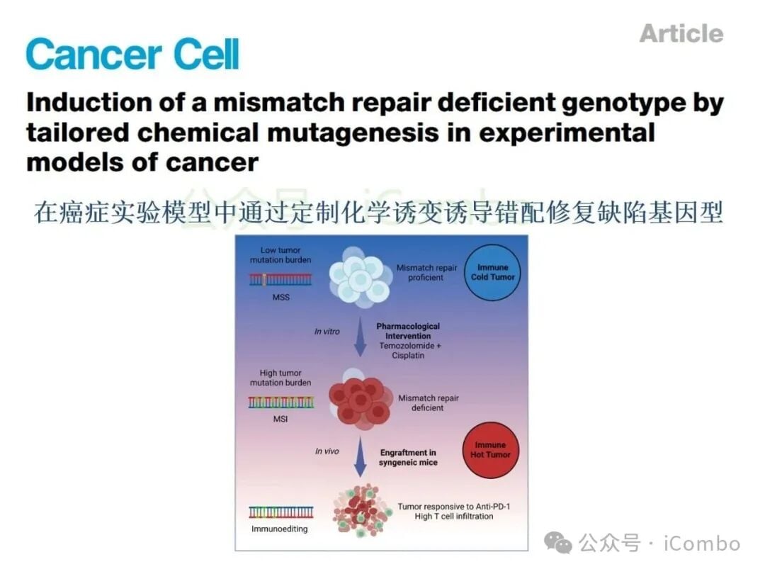 结直肠癌免疫治疗新策略:替莫唑胺与顺铂联用,唤醒抗癌免疫力 1 图片