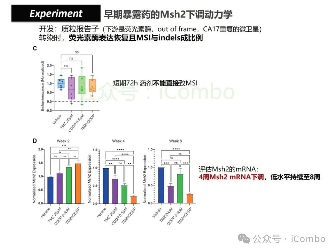 结直肠癌免疫治疗新策略:替莫唑胺与顺铂联用,唤醒抗癌免疫力 17 图片