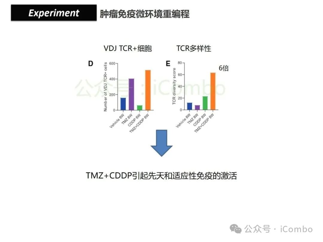 结直肠癌免疫治疗新策略:替莫唑胺与顺铂联用,唤醒抗癌免疫力 27 图片