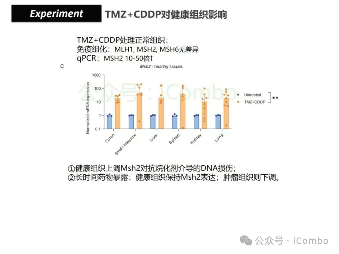 结直肠癌免疫治疗新策略:替莫唑胺与顺铂联用,唤醒抗癌免疫力 30 图片