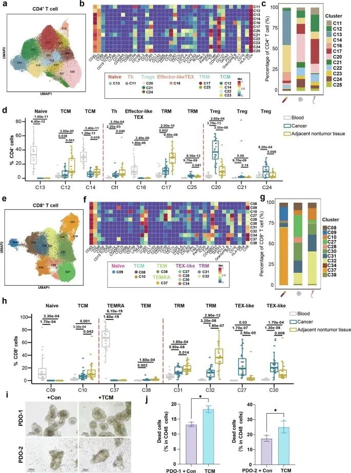 食管癌免疫治疗新突破:协和研究揭示预测疗效的关键生物标志物 3 图片