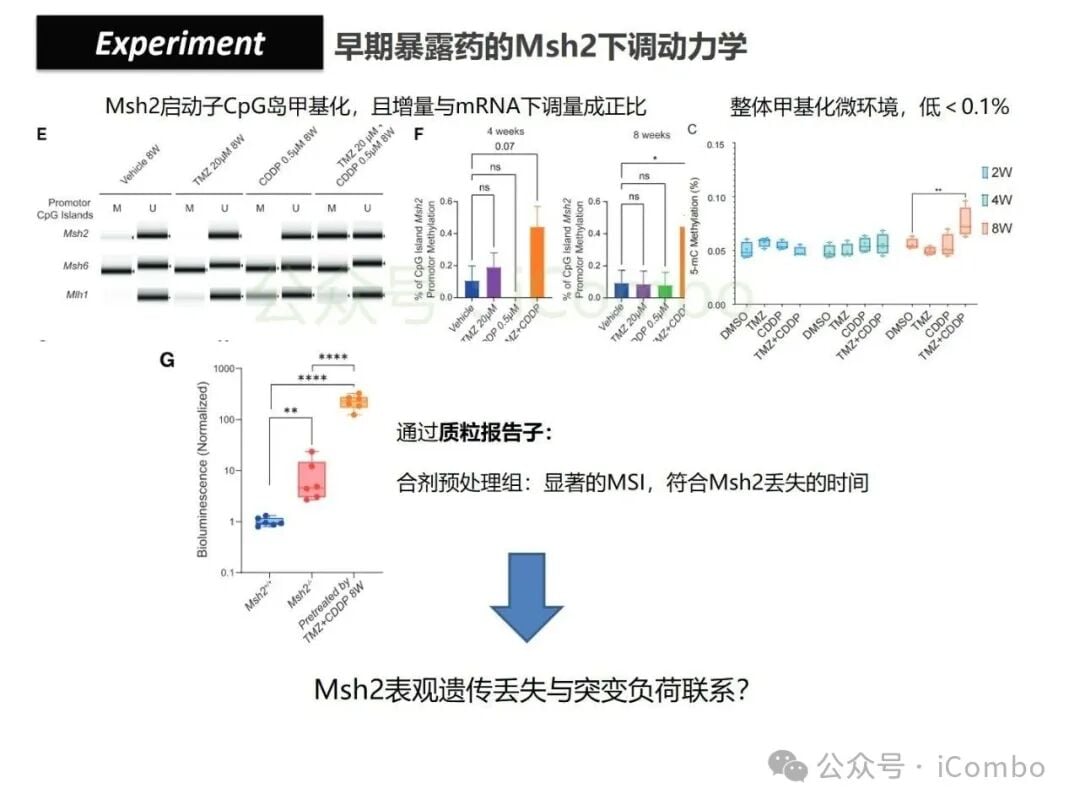 结直肠癌免疫治疗新策略:替莫唑胺与顺铂联用,唤醒抗癌免疫力 18 图片
