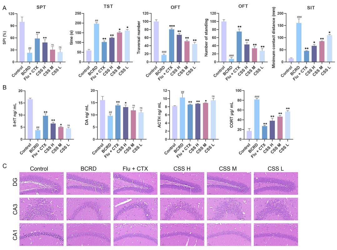 柴胡疏肝散新突破:不仅缓解抑郁,还能抑制乳腺癌?研究揭示双重作用机制 2 图片