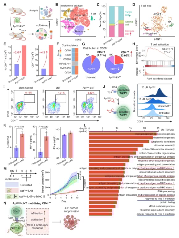 三阴性乳腺癌免疫治疗新希望:新型细胞平台激活CD4+ T细胞,强效抗癌! 5 单细胞分析揭示AptCD4-LNTs激活T细胞的机制