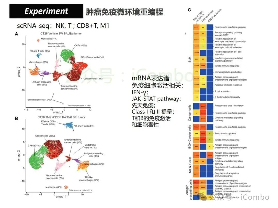 结直肠癌免疫治疗新策略:替莫唑胺与顺铂联用,唤醒抗癌免疫力 26 图片