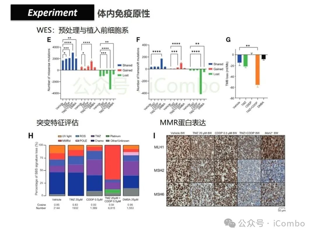 结直肠癌免疫治疗新策略:替莫唑胺与顺铂联用,唤醒抗癌免疫力 24 图片