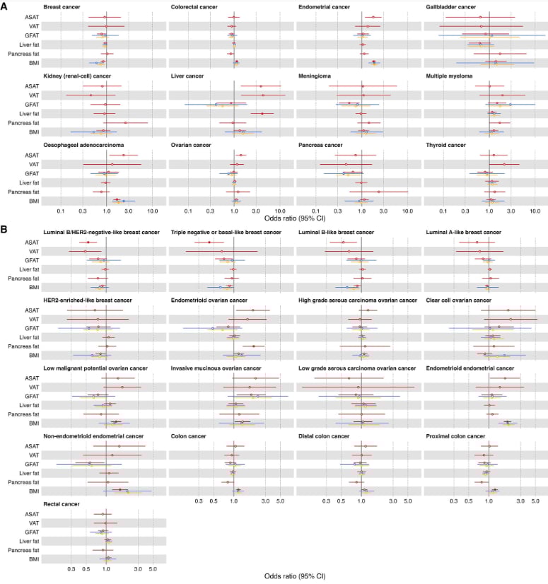 颠覆认知:并非所有脂肪都致癌!研究揭示肝脏脂肪与腹部脂肪对肝癌、乳腺癌风险的截然不同影响 2 图片