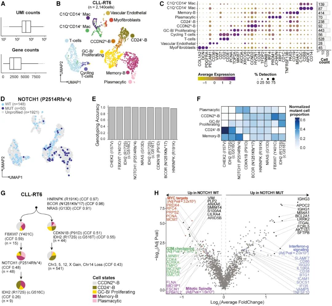 解码癌症耐药:新技术GoT-Multi如何揭示白血病等癌症的进化与耐药机制? 4 图片