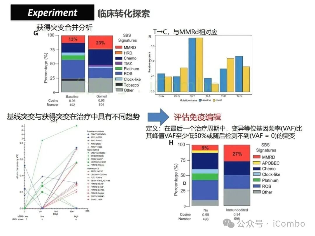 结直肠癌免疫治疗新策略:替莫唑胺与顺铂联用,唤醒抗癌免疫力 36 图片