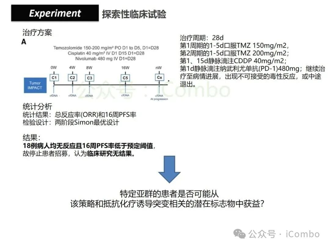 结直肠癌免疫治疗新策略:替莫唑胺与顺铂联用,唤醒抗癌免疫力 34 图片