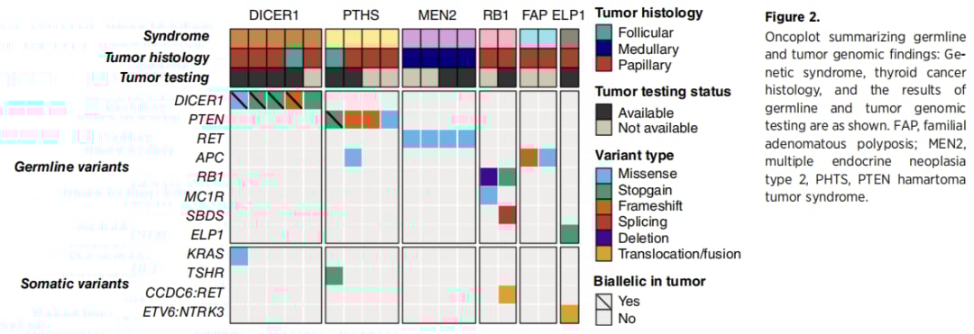 最新研究:25%儿童甲状腺癌或与遗传基因有关,三类患儿需高度警惕! 6 图片