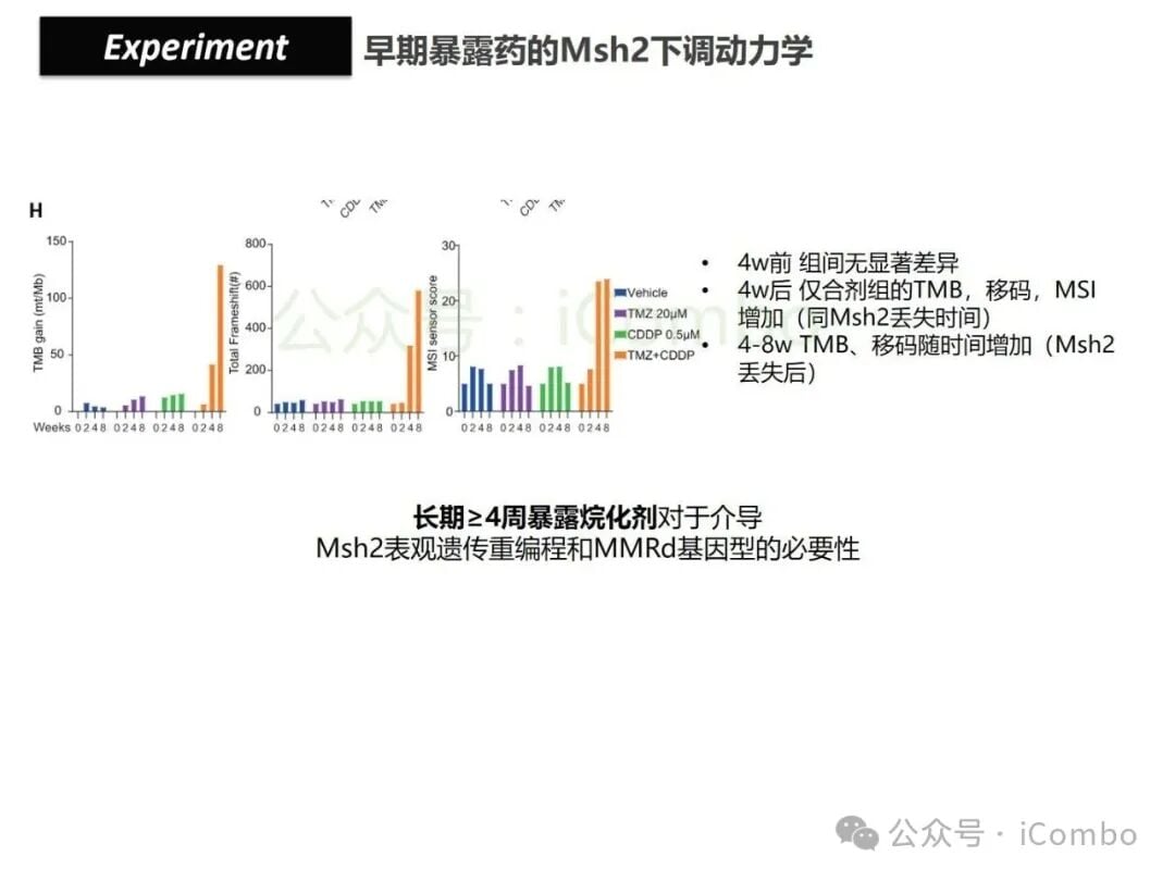 结直肠癌免疫治疗新策略:替莫唑胺与顺铂联用,唤醒抗癌免疫力 19 图片