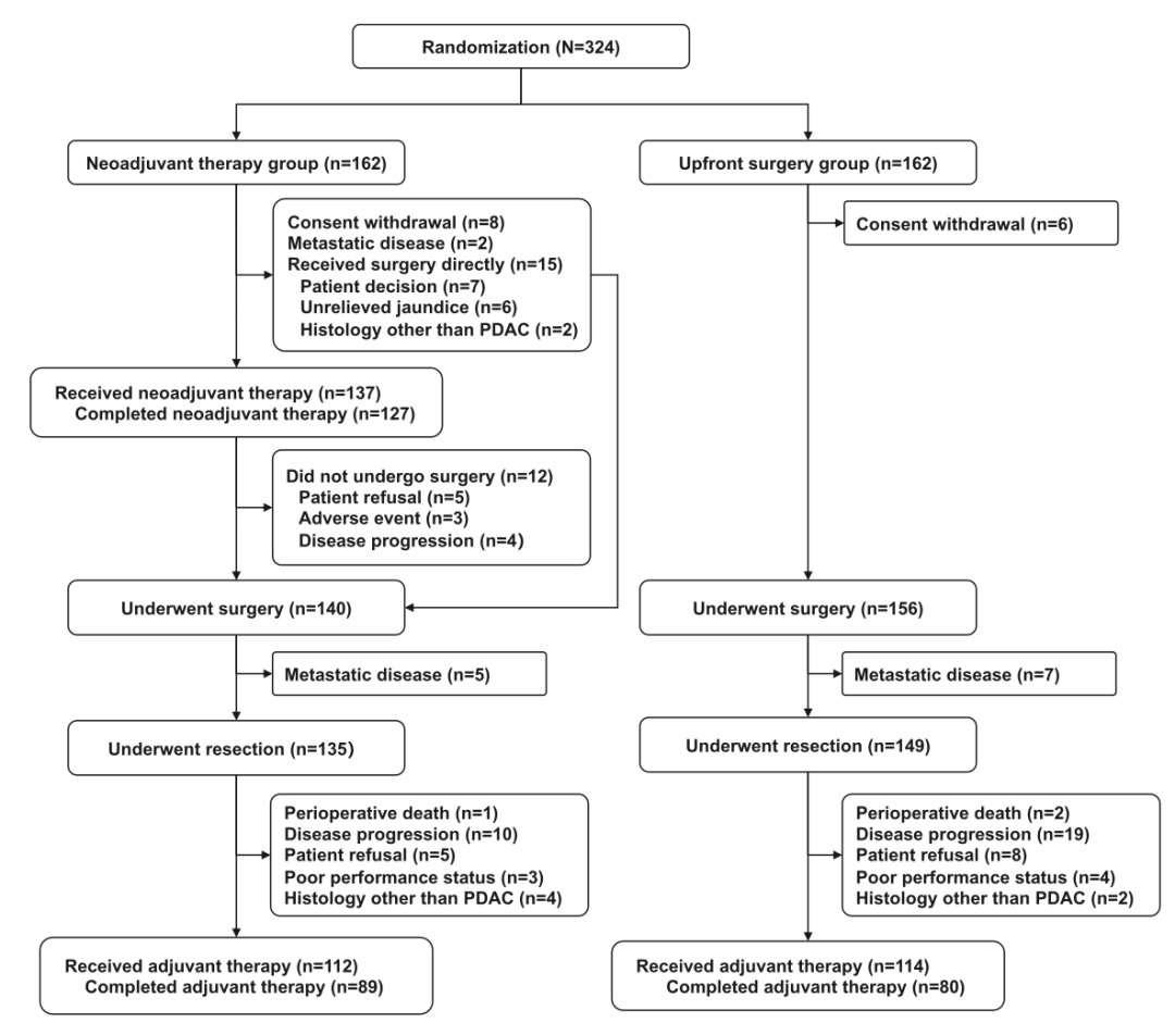 胰腺癌治疗迎突破:白蛋白紫杉醇联合方案术前化疗,显著延长患者生存期 2 图片