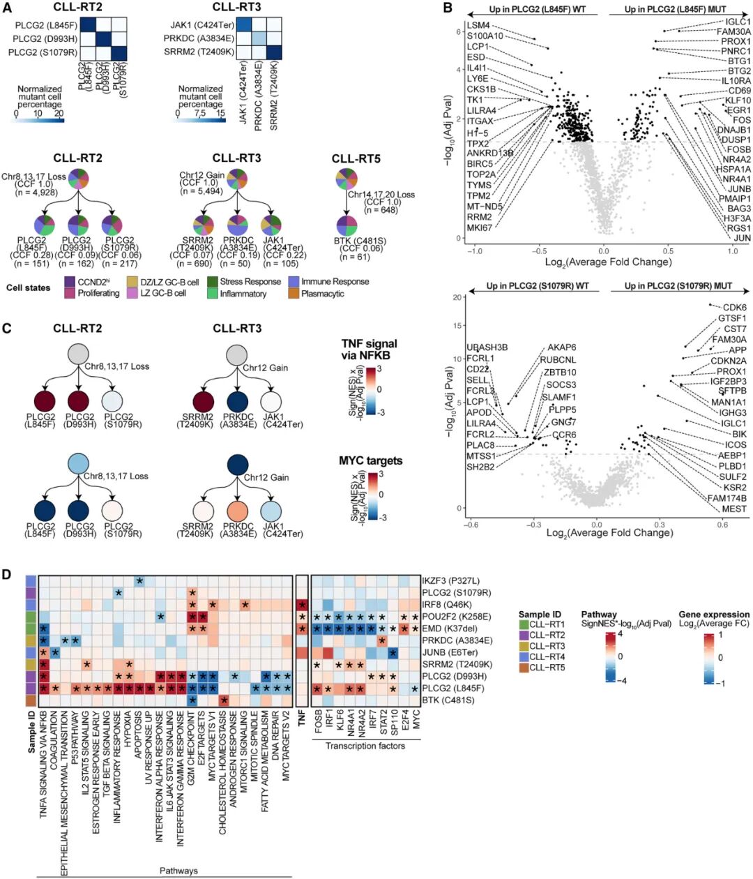 解码癌症耐药:新技术GoT-Multi如何揭示白血病等癌症的进化与耐药机制? 3 图片