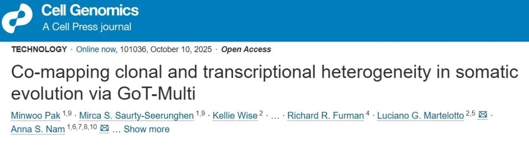 解码癌症耐药:新技术GoT-Multi如何揭示白血病等癌症的进化与耐药机制? 1 图片