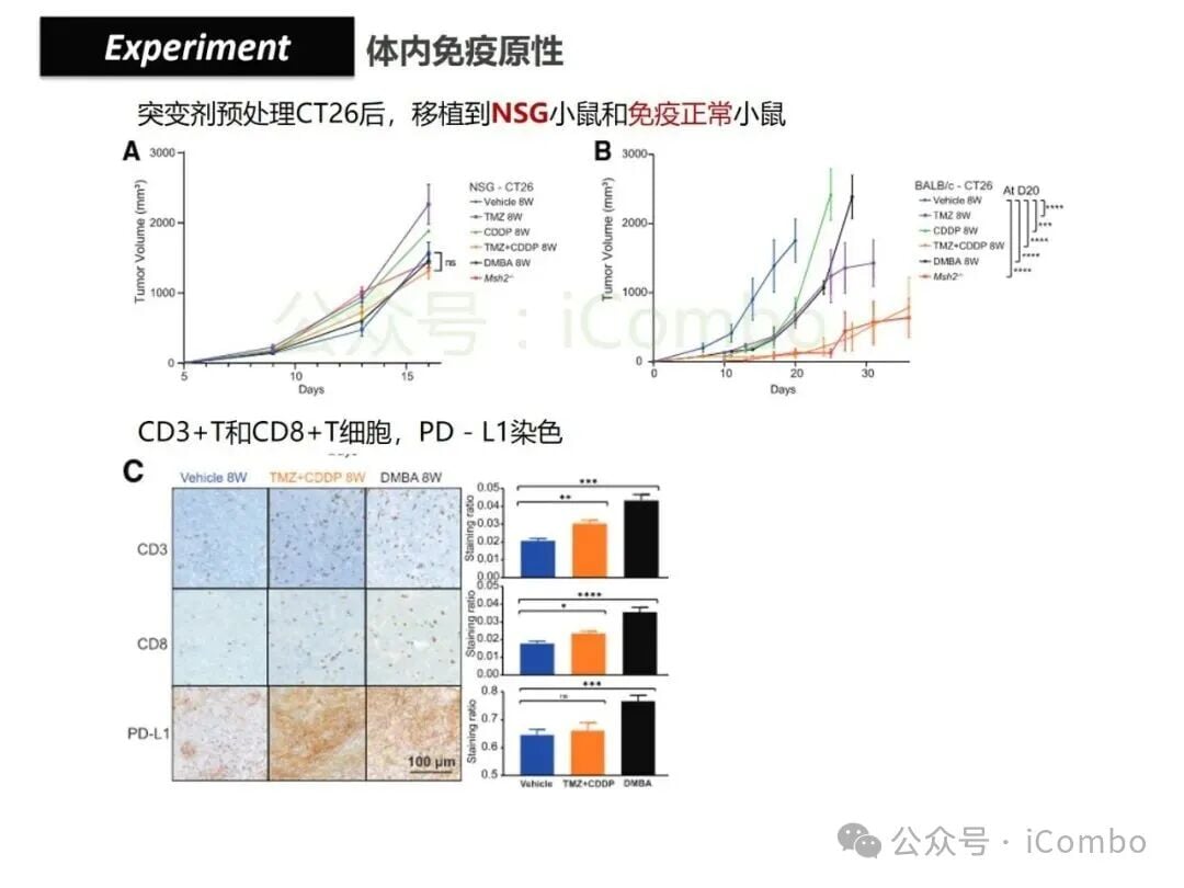 结直肠癌免疫治疗新策略:替莫唑胺与顺铂联用,唤醒抗癌免疫力 22 图片