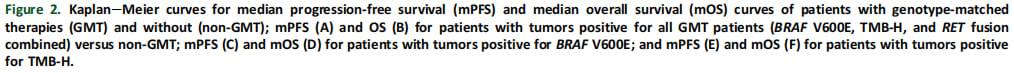 真实世界研究:BRAF、TMB-H、RET融合靶向治疗如何改善晚期癌症生存率? 6 图片