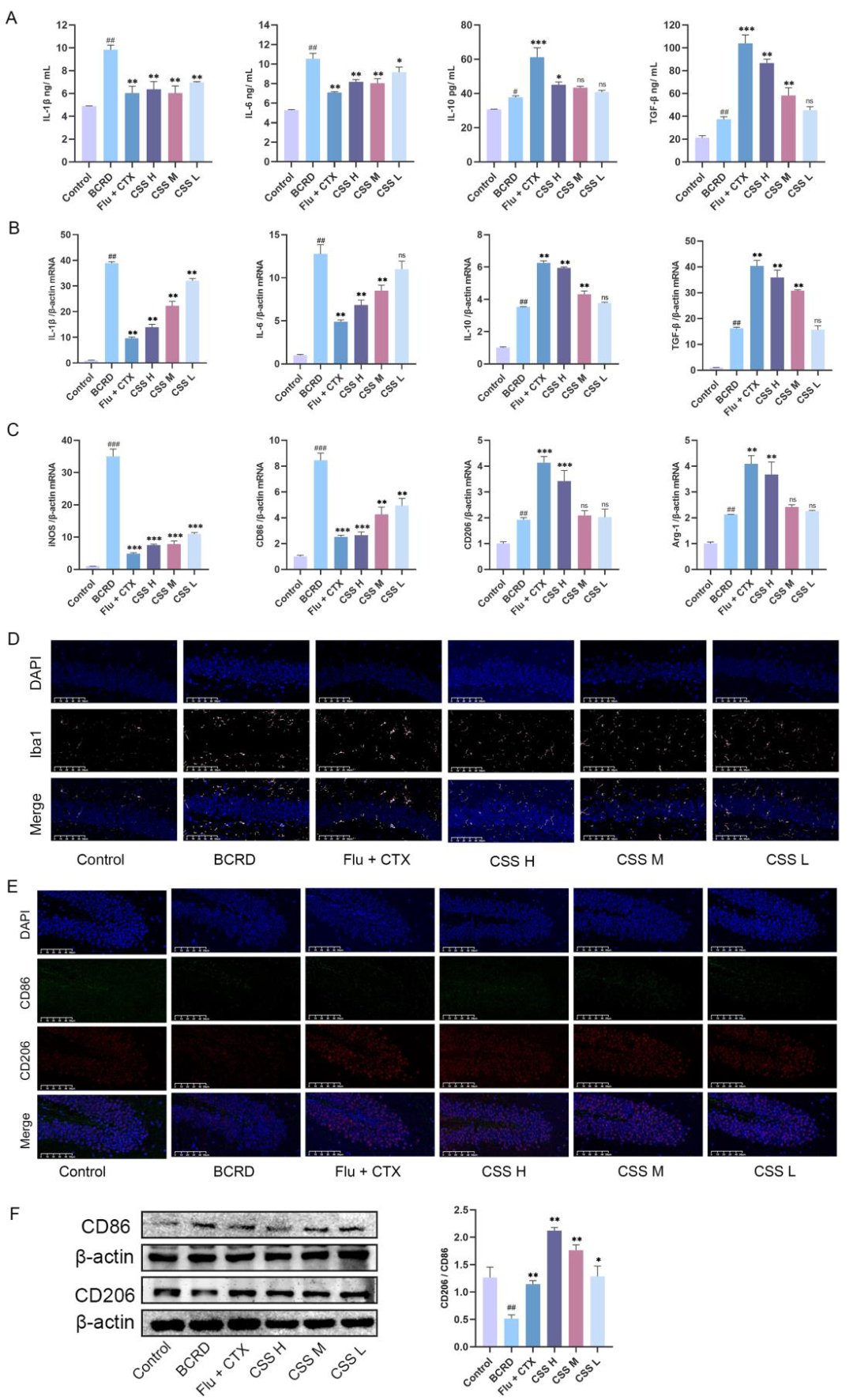 柴胡疏肝散新突破:不仅缓解抑郁,还能抑制乳腺癌?研究揭示双重作用机制 4 图片