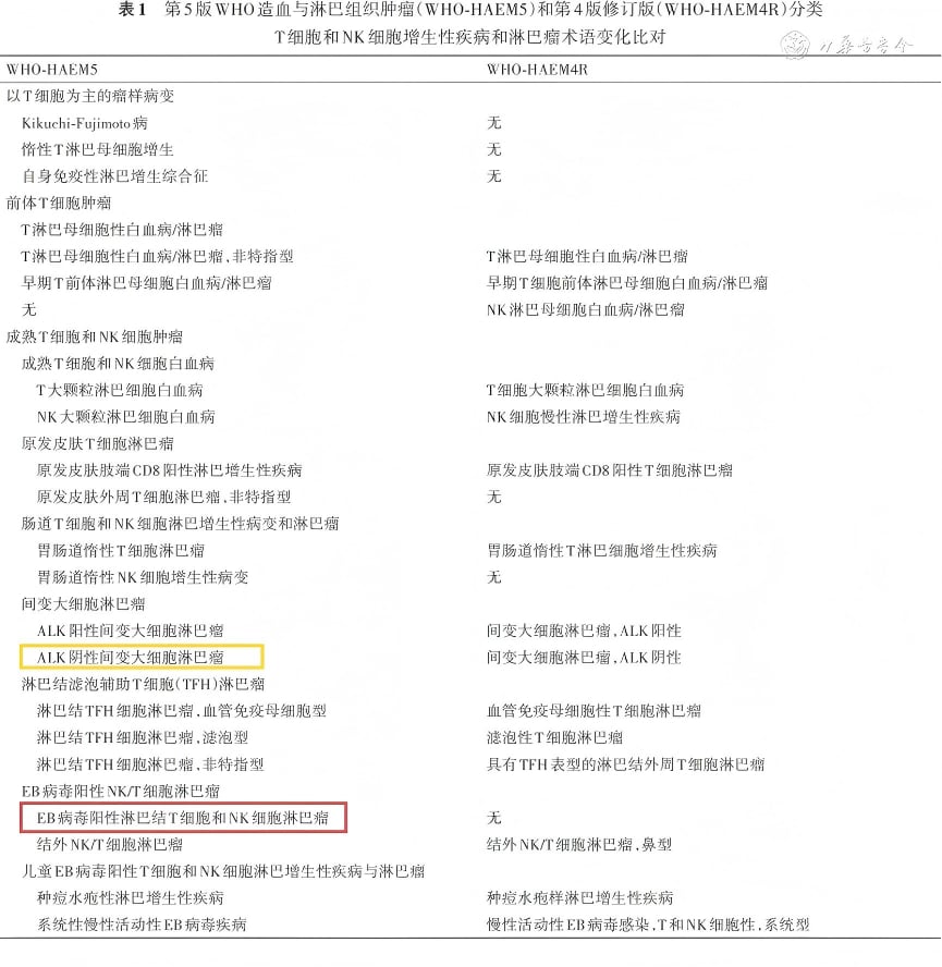CD30阳性淋巴瘤诊断陷阱:如何用EBER检测区分EBV+ NT/NKCL与ALK阴性ALCL? 1 图片