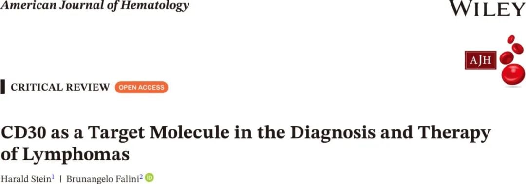 淋巴瘤治疗新靶点CD30详解:维布妥昔单抗与CAR-T疗法全解析 1 1.jpg