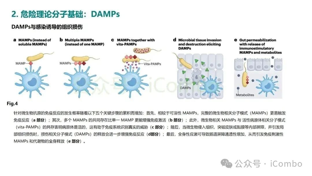 危险理论:揭秘癌症免疫治疗的底层逻辑,化疗为何能激活免疫? 10 图片