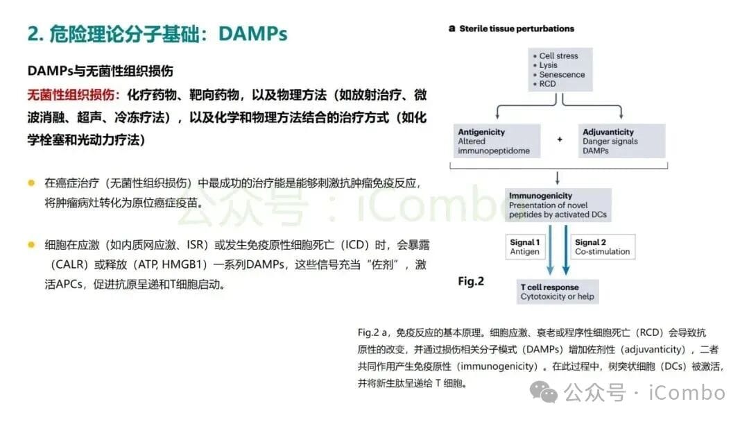 危险理论:揭秘癌症免疫治疗的底层逻辑,化疗为何能激活免疫? 5 图片