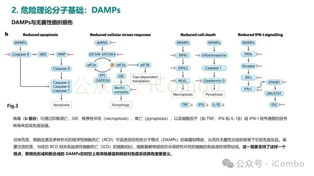 危险理论:揭秘癌症免疫治疗的底层逻辑,化疗为何能激活免疫? 8 图片