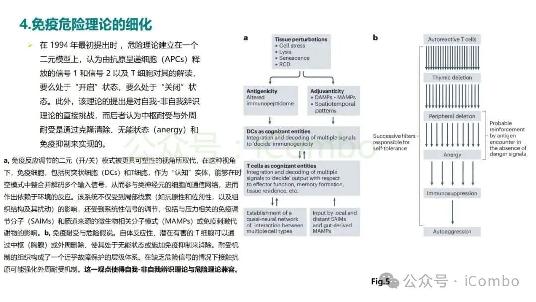 危险理论:揭秘癌症免疫治疗的底层逻辑,化疗为何能激活免疫? 14 图片