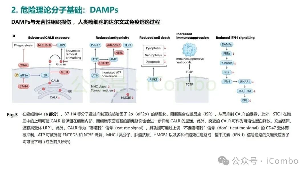 危险理论:揭秘癌症免疫治疗的底层逻辑,化疗为何能激活免疫? 7 图片