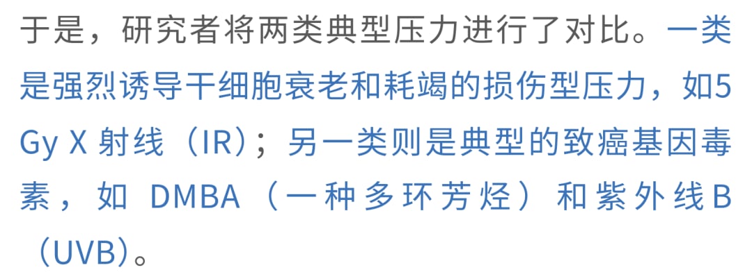 脱发、白发竟是身体的防癌信号?最新研究揭示牺牲颜值换生存的惊人策略 7 图片