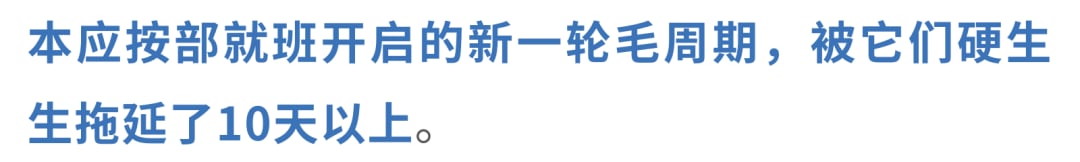 脱发、白发竟是身体的防癌信号?最新研究揭示牺牲颜值换生存的惊人策略 2 图片