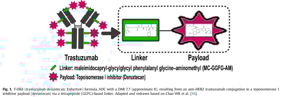 卵巢癌治疗新突破:德曲妥珠单抗精准狙击黏液性卵巢癌HER2突变 1 图片