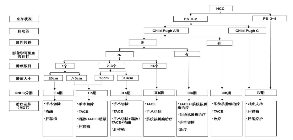 钇90疗法:肝癌治疗新突破,覆盖早中晚期,提升生存希望 1 原发性肝癌诊疗指南分期治疗策略