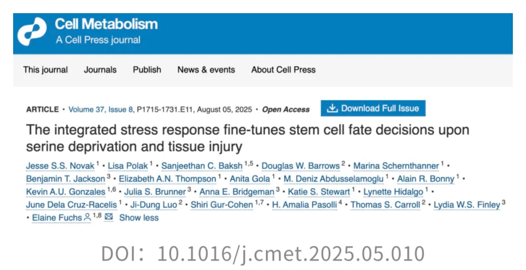 脱发、白发竟是身体的防癌信号?最新研究揭示牺牲颜值换生存的惊人策略 1 图片