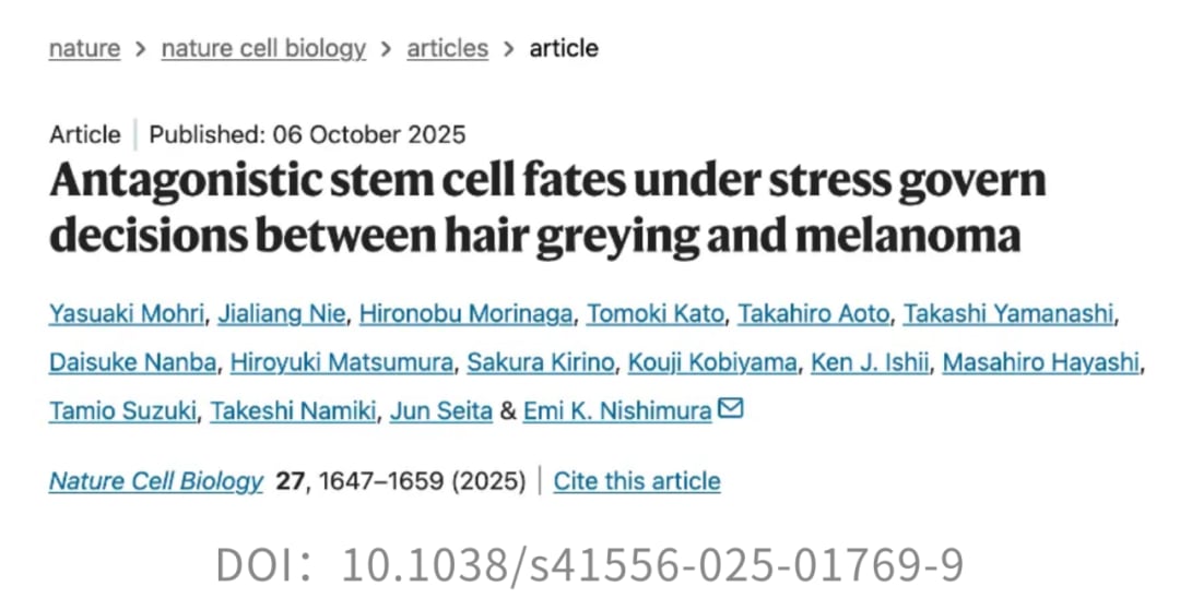 脱发、白发竟是身体的防癌信号?最新研究揭示牺牲颜值换生存的惊人策略 5 图片