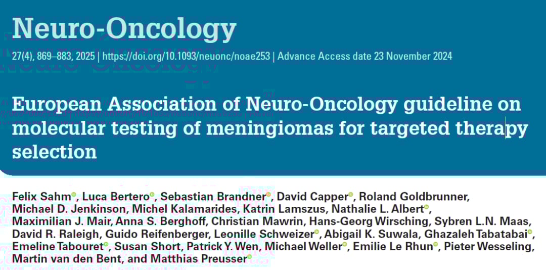 脑膜瘤治疗新篇章:EANO指南详解分子检测与靶向药物选择,助您精准抗癌 1 图片