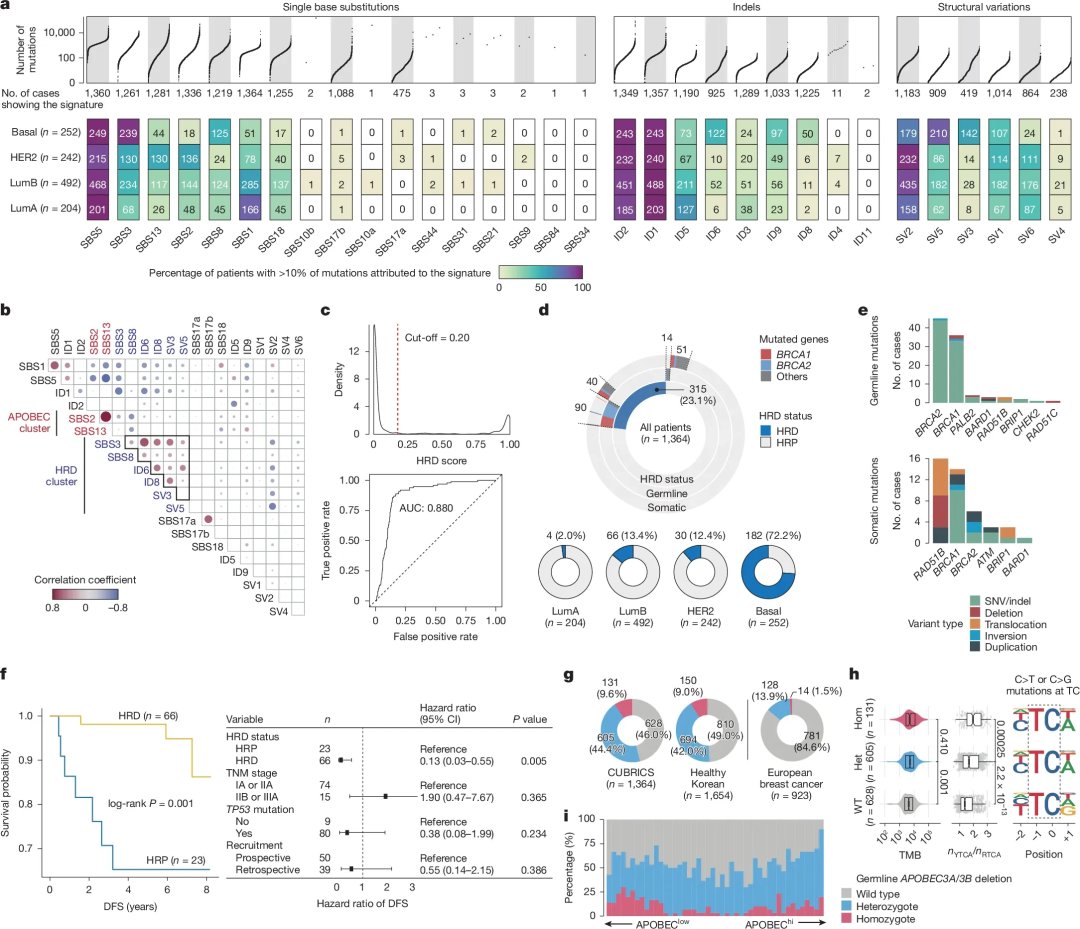 乳腺癌全基因组测序新突破:揭示驱动基因、突变特征与精准治疗新方向 3 图片