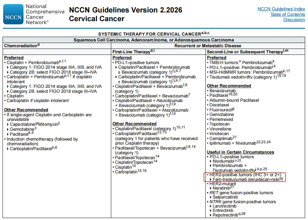 宫颈癌精准治疗新篇章:靶向与免疫疗法中的关键生物标志物检测与创新药物解析 10 图片
