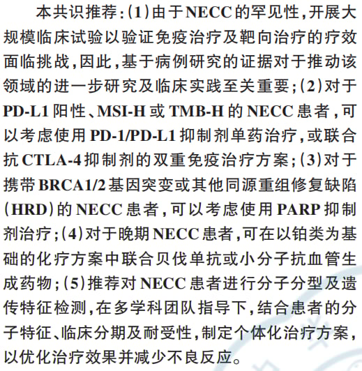 宫颈癌精准治疗新篇章:靶向与免疫疗法中的关键生物标志物检测与创新药物解析 26 图片
